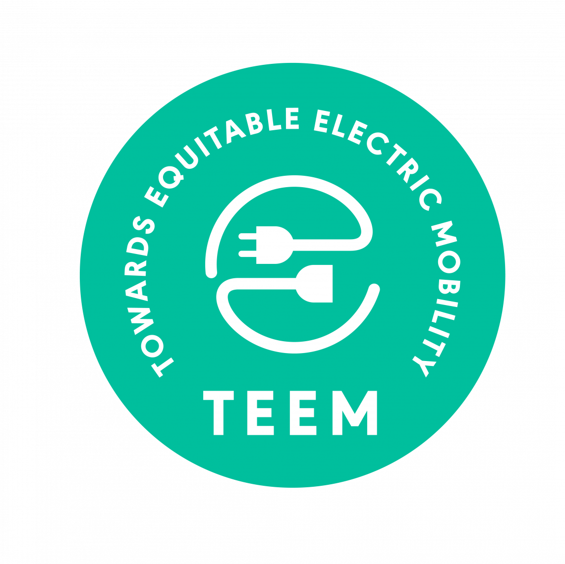 TEEM Logo